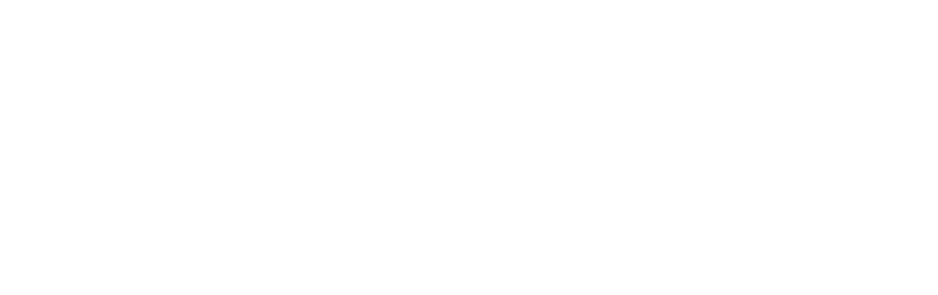Heuristic and Evolutionary Algorithms Laboratory